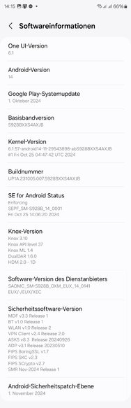 Screenshot_20241118_141459_Settings.jpg