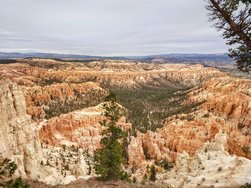 20241102_124543.JPG
