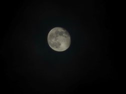 20241117_215421.jpg