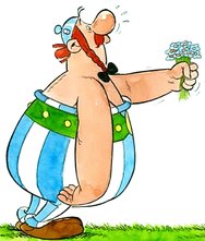 Obelix Blumen2.jpeg
