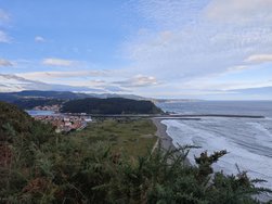 IMG_20241120_101154.jpg