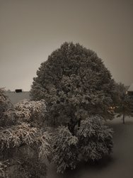 IMG_20241120_230505.jpg