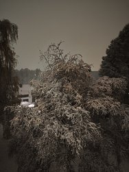 IMG_20241120_230303.jpg
