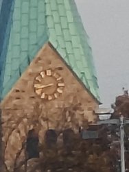 IMG_20241121_084332.jpg