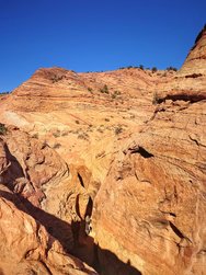 20241104_115845 (1) (1).JPG