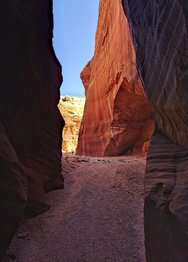 20241104_114612.JPG