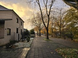 20241120_161250.jpg