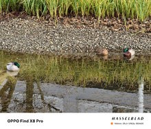 IMG_20241124_121632.jpg
