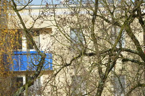 DSC_200mm.JPG