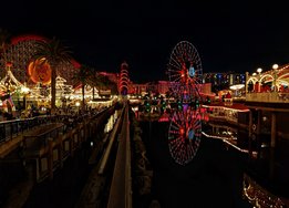 20241113_200805.JPG