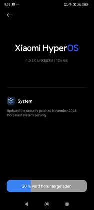 Screenshot_2024-11-25-08-36-25-800_com.android.updater.jpg