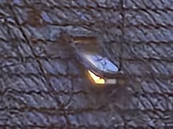 20241125_162820.jpg