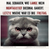 Quotes_Creator_com.ist_.quotescreator_1732047681134.png