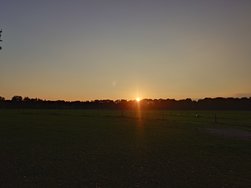 20241025_173610.JPG