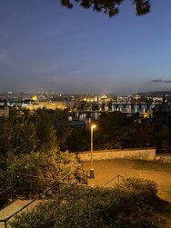 IMG_3919.JPG