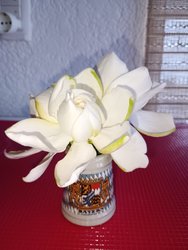 IMG_20241126_182509.jpg