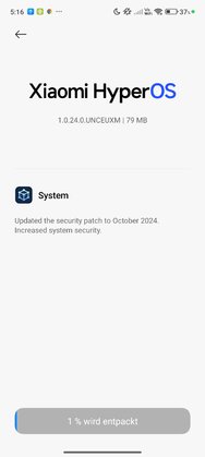 Screenshot_2024-11-27-05-16-35-091_com.android.updater.jpg