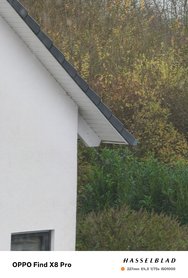 IMG20241127083523.jpg