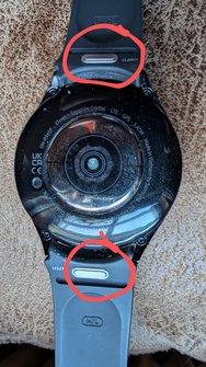 PXL_20241127_090622729.MP~2.jpg