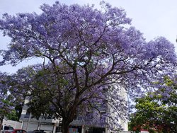 IMG_20241121_140431.jpg
