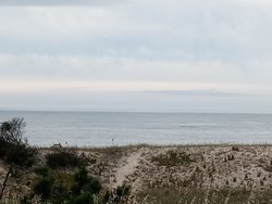 IMG_20241127_115334.jpg