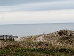 IMG_20241127_115355.jpg