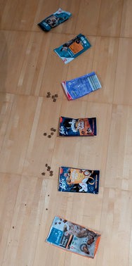 PSX_20241128_202654.jpg