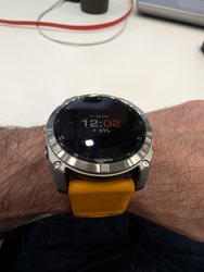 PXL_20241129_110227955.jpg