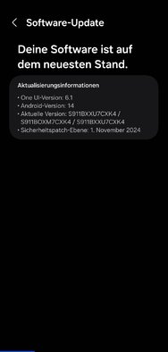 Screenshot_20241130_091000_Software update.jpg