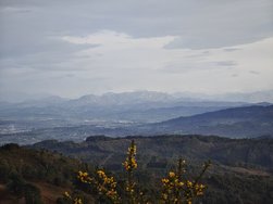 IMG_20241130_163153.jpg