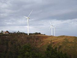 IMG_20241130_163733.jpg