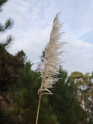 IMG_20241130_164249.jpg