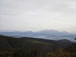 IMG_20241130_165525.jpg