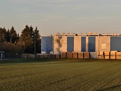 13_Vivo_6x.jpg