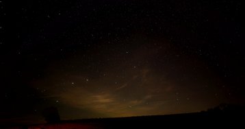 PXL_20241130_193913821.NIGHT~4.jpg