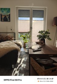 IMG20241201133258.jpg