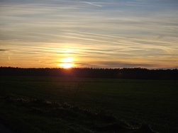 20241201_160636.jpg