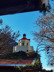 IMG_20241130_125642.jpg