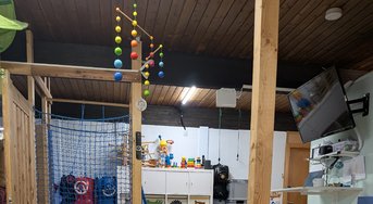 PXL_20241202_072428767~2.jpg