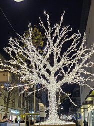 20241130_182812.jpg