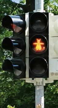 IMG_20241203_201231.jpg
