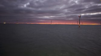 20241129_074033.jpg
