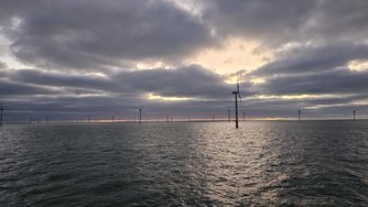 20241129_080037.jpg