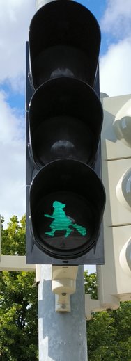 1000008392.jpg