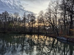 20241124_154048.jpg
