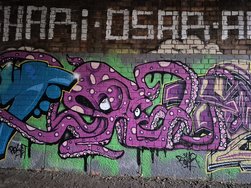 20241124_154250.jpg