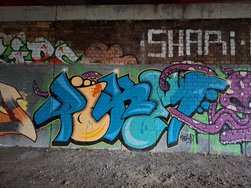20241124_154340.jpg