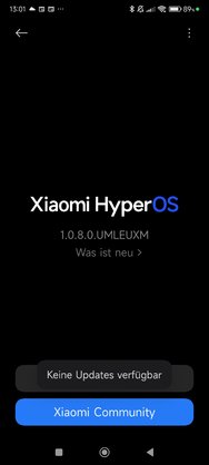 Screenshot_2024-12-05-13-01-23-718_com.android.updater.jpg