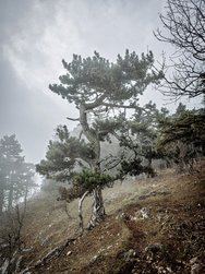 20241204_131035_RAW24MP.jpg