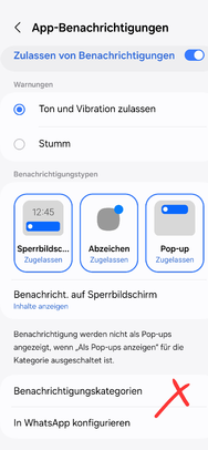 Screenshot_20241205_145215_Settings.png